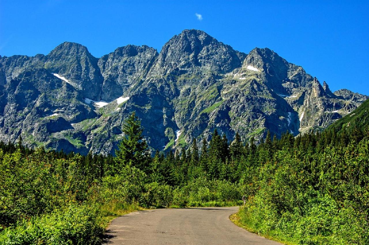 Willa Bachledówka Zakopane Exterior foto